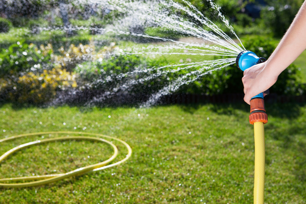 5 ways to keep your garden hydrated during a heatwave