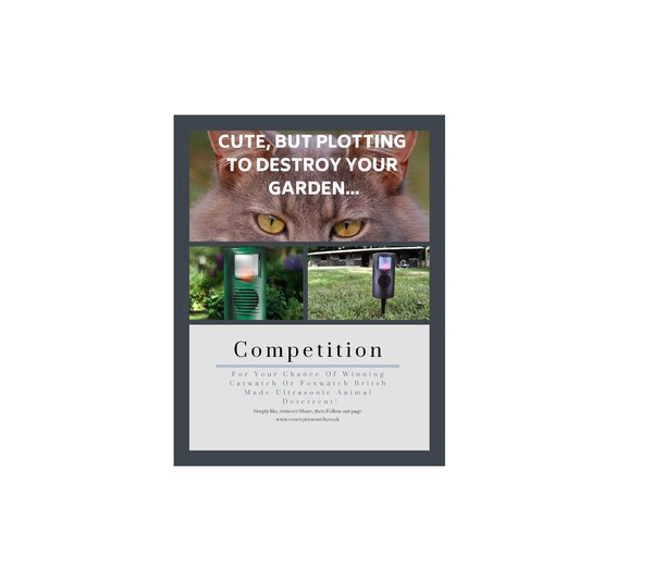 Competition time!!!!